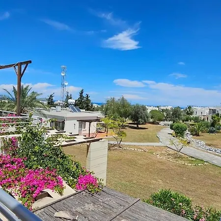 Апартаменты Flat And Rooftop, Turtle Bay Village