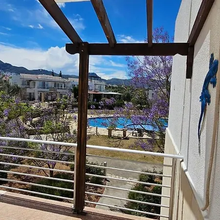 Flat And Rooftop, Turtle Bay Village Апартаменты *
